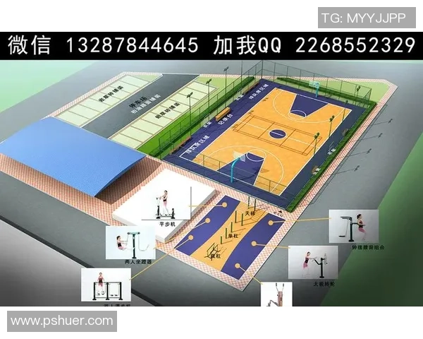 巴篮球场平面图解析与设计要点探讨及其在教学中的应用研究